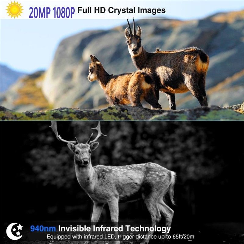 HC801M 2G MMS SMS SMTP Trail Wildlife Camera 20MP 1080P Visão Noturna Celular Câmeras de Caça Celular