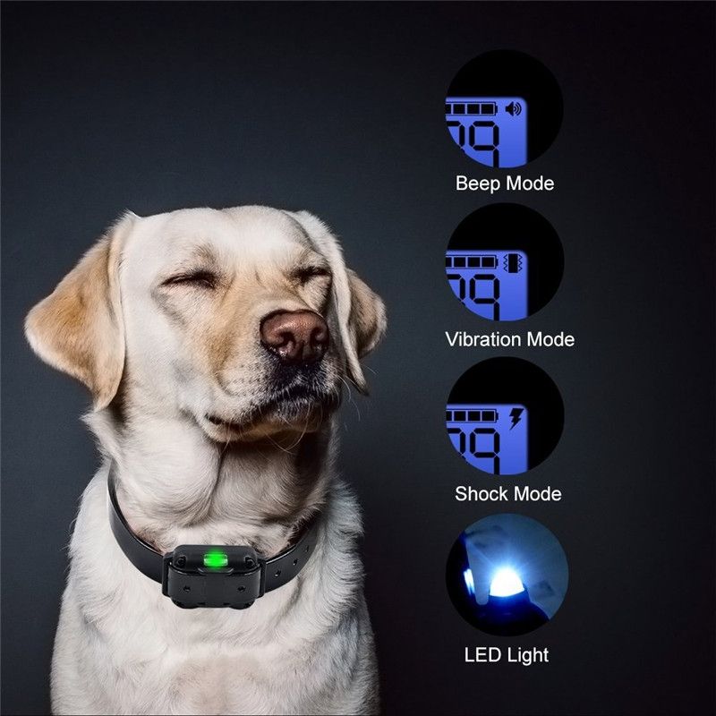 2019 Novo 800m Elétrico Dog Treinando Collar Pet Controle Remoto Impermeável Recarregável Com Display LCD para Todos Tamanho Tamk-Stop Collars