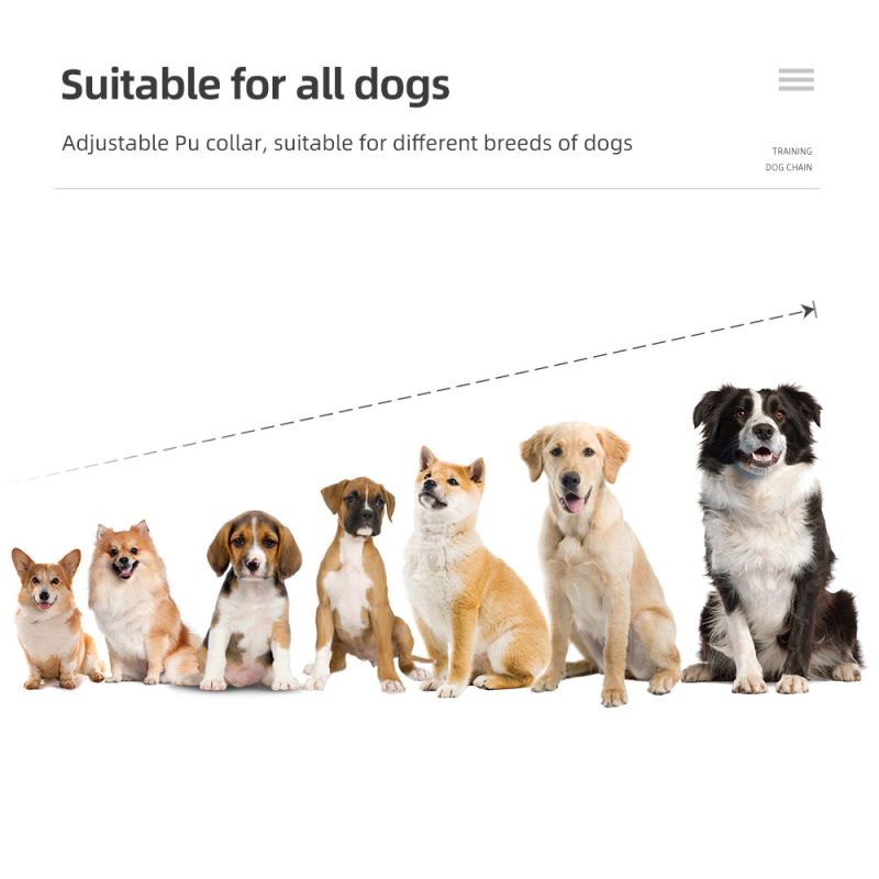 800m coleira de treinamento para cães dispositivo de treinamento para cães IP7 à prova d'água controle remoto para animais de estimação coleira recarregável para cães