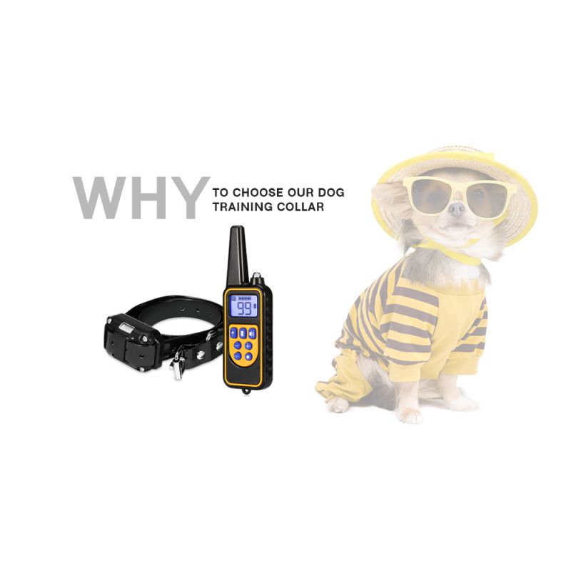 800m Cão Elétrico Treinamento Colares Pet Controle Remoto Impermeável Recarregável com Display LCD para Todos Tamanho Bark-Stop Collars