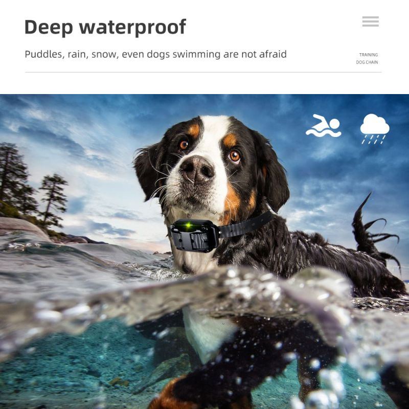 800m coleira de treinamento para cães dispositivo de treinamento para cães IP7 à prova d'água controle remoto para animais de estimação coleira recarregável para cães