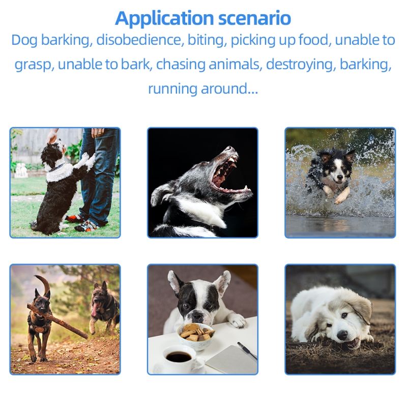 2021 Novo 500m Elétrico Cão Treinamento Colares Pet Remoto Recarregável Recarregável com Display LCD para Todo Som Choque Vibração Som