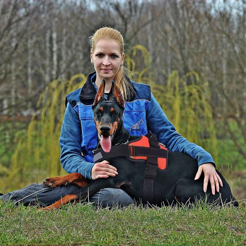 Arnês do cão, sem-puxar o colete de estimação ajustável reflexivo reflexivo com alça para caminhada ao ar livre