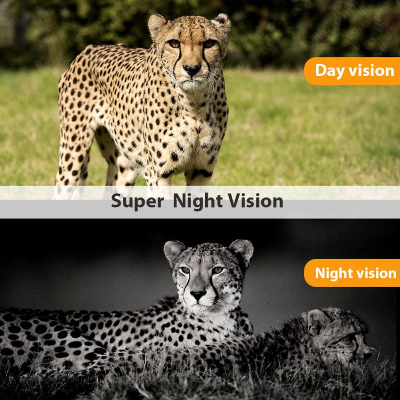 HC801M 2G MMS SMS SMTP Trail Wildlife Camera 20MP 1080P Visão Noturna Celular Câmeras de Caça Celular