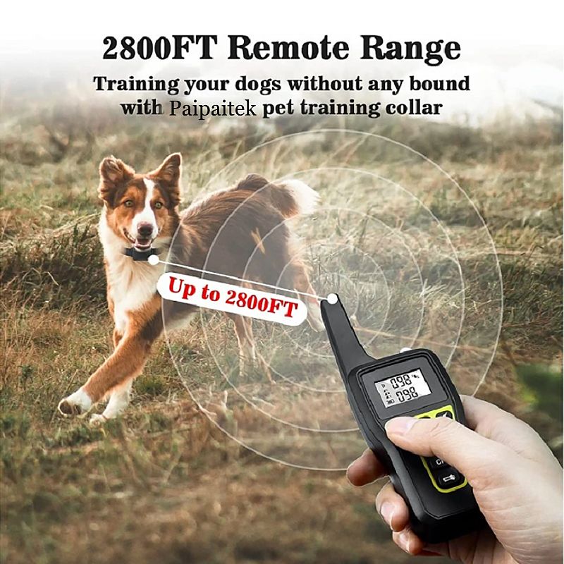 1000m Electric Dog Training Collar Remote Control with Safety Keylock and Adjustable Modes for Humane Training