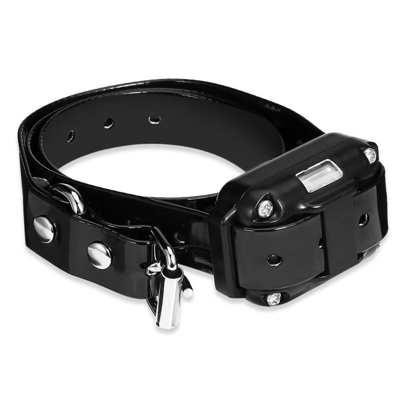 2020 Novo 800m Elétrico Dog Treinando Collar Pet Remoto Recarregável Recarregável com Display LCD para Todo Som Choque Vibração Som