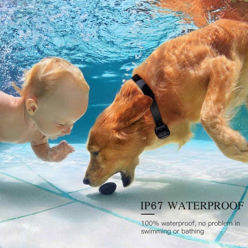 Controle remoto da gola elétrica do cão de 800m elétrico que recarregável impermeável recarregável com exposição do LCD para o som de vibração do choque do tamanho