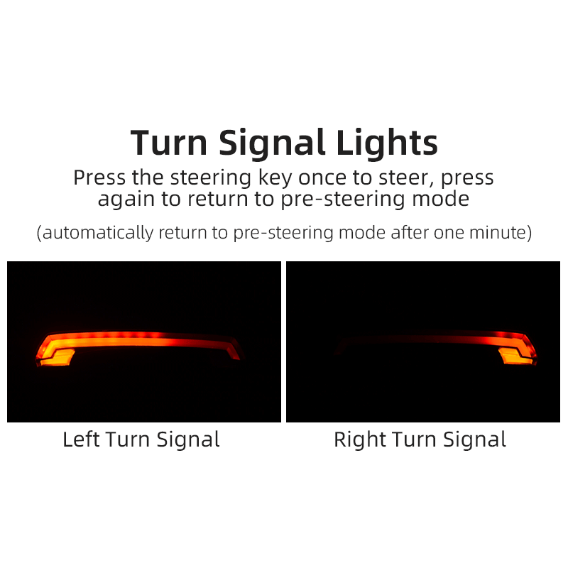ROCKBROS LKWD-R1 Luz de Bicicleta Inteligente USB LED Controle Remoto Sem Fio Luz Traseira de Bicicleta MTB Estrada Laser Sinal de Volta Lâmpada de Ciclismo Luz Traseira