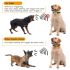 Dispositivo anti-latido inteligente para cães de estimação USB elétrico ultrassônico para treinamento de cães Coleira de cão para batida de latidos de vibração anti-latidos