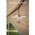 Klarus CL2 750 Lumen Freefolding Camping Light Portable Eye-caring Versatile Lamp with 7 Light Modes