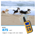 2020 Novo 1000m Cão Elétrico Treinamento Colares Pet Remoto Recarregável Recarregável com Display LCD para Todos Tamanho Bark-Stop Collars