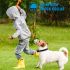 PETRAINER 998D 300M Remote Elétrico Cão Collar Choque Vibração Recarregável à prova de chuva de treinamento de cão com tela LCD