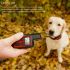 Novo Cão Treinamento Colares Recarregável Remoto Remoto Cão Elétrico Choque Colar Com Vibration Beep Treinando Colar De Cão Eletrônico