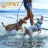 Color Screen Stopper Trainer with Bark Detection Algorithm Humane Dog Training Device for Effective Results