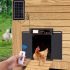 Solar Auto Chicken Coop Door with Timer Light Sensor USB Charging for Eco-friendly Poultry Management