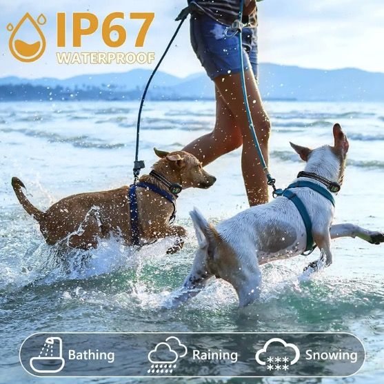 Smart Automatic Anti Barking Dog Collar Rechargeable Design with Intelligent Bark Recognition Humane Solution