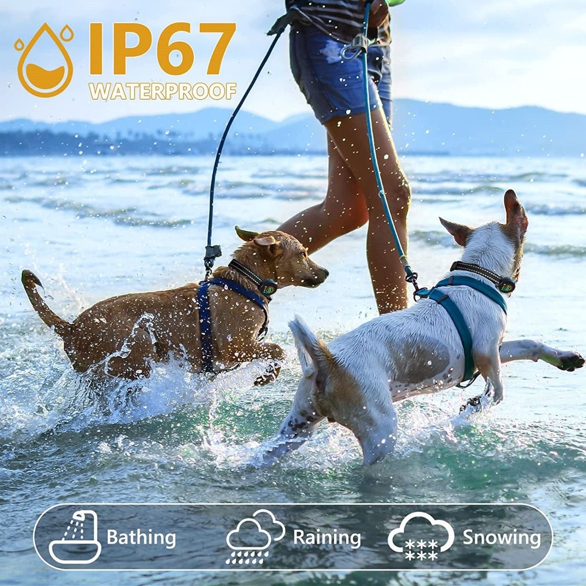Color Screen Stopper Trainer with Bark Detection Algorithm Humane Dog Training Device for Effective Results